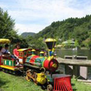 Train in the park