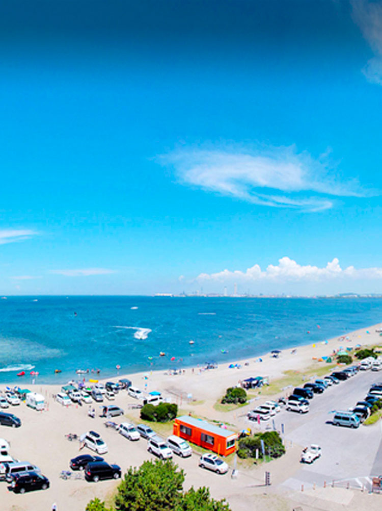 海